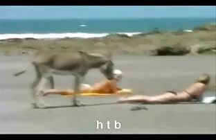 XXX Hon var full och lesbisk porr film låg i ett hål